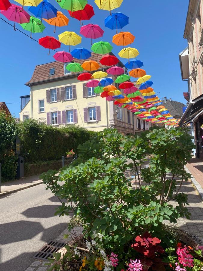 Meubles De La Doller, Les Canards Apartman Masevaux-Niederbruck Kültér fotó